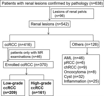 Predicting the WHO/ISUP Grade of Clear Cell Renal Cell Carcinoma Through CT-Based Tumoral and Peritumoral Radiomics